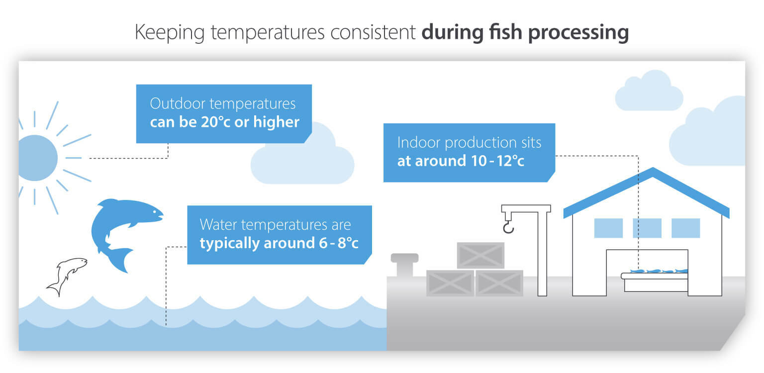 Keeping temperatures constant during fish processing