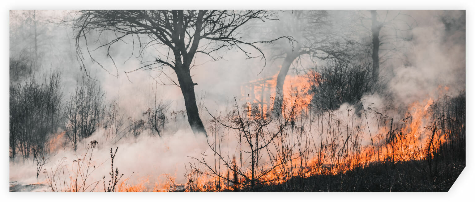 Rozwiązania w zakresie kontroli klimatu w organizacji humanitarnej dla pożarów lasów