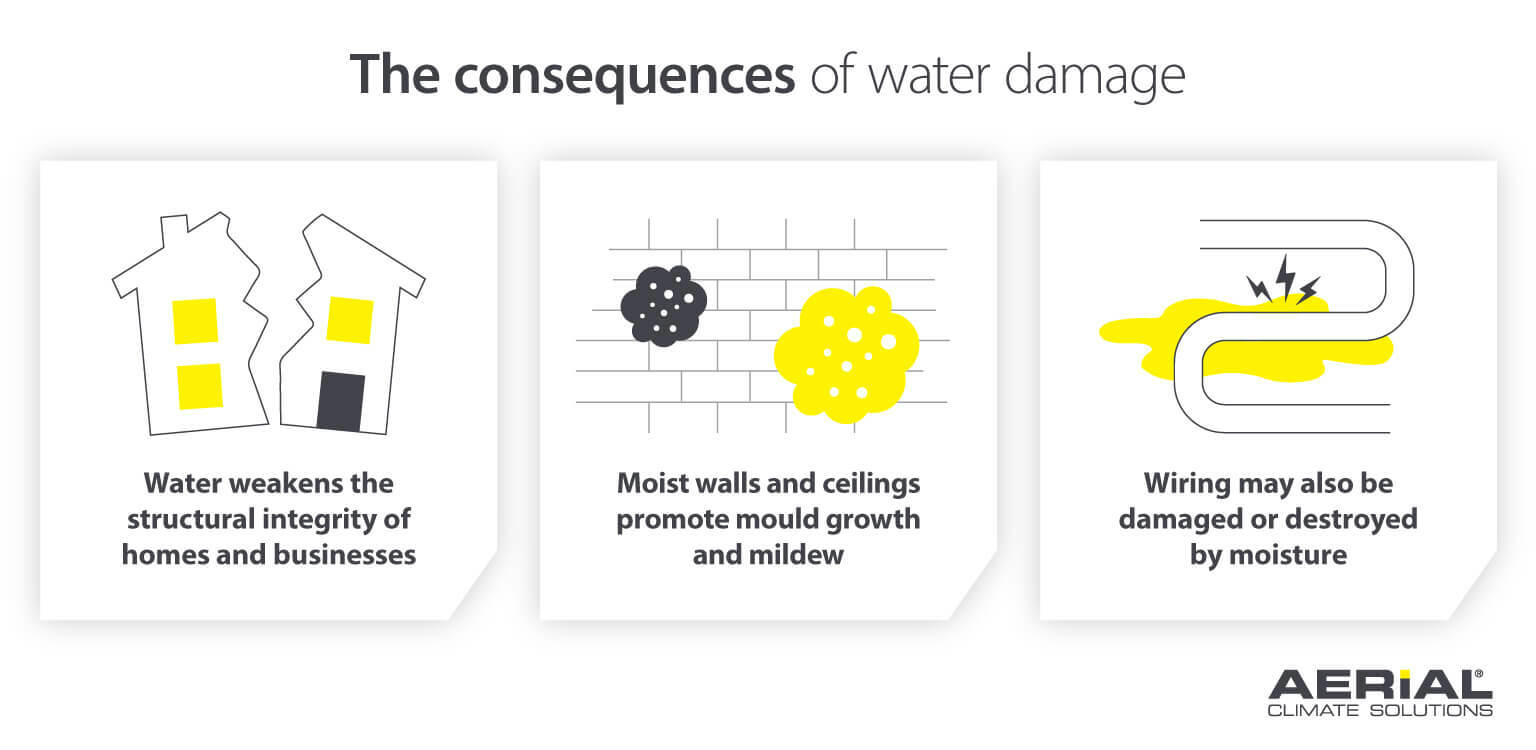 An Infographic on 3 consequences of water damage including: weakening structural integrity, promotion of mould growth and mildrew, and damage to wiring