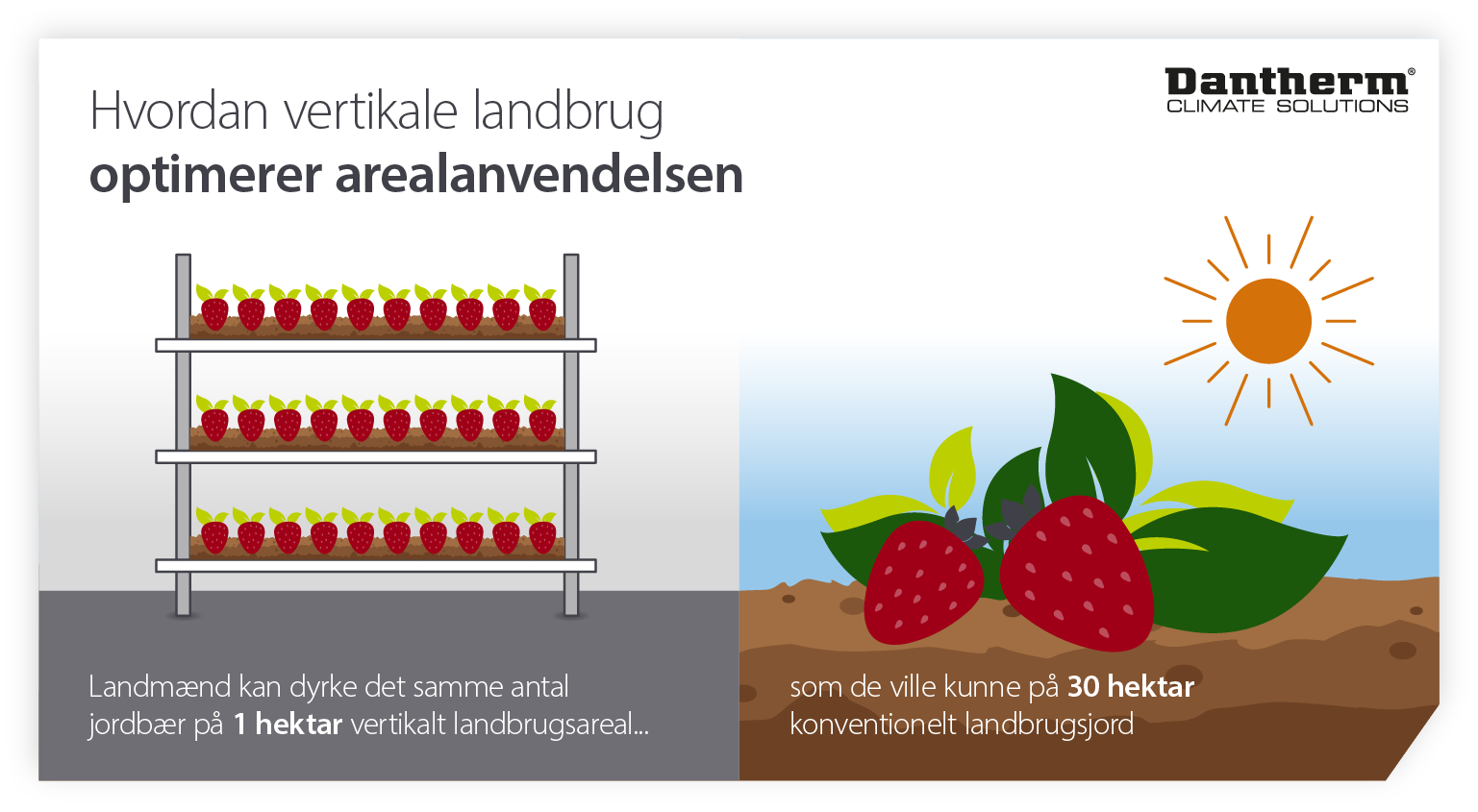 Hvordan landbrug i kontrolleret miljø og vertikale landbrug bidrager til at optimere arealanvendelsen - infografisk billede