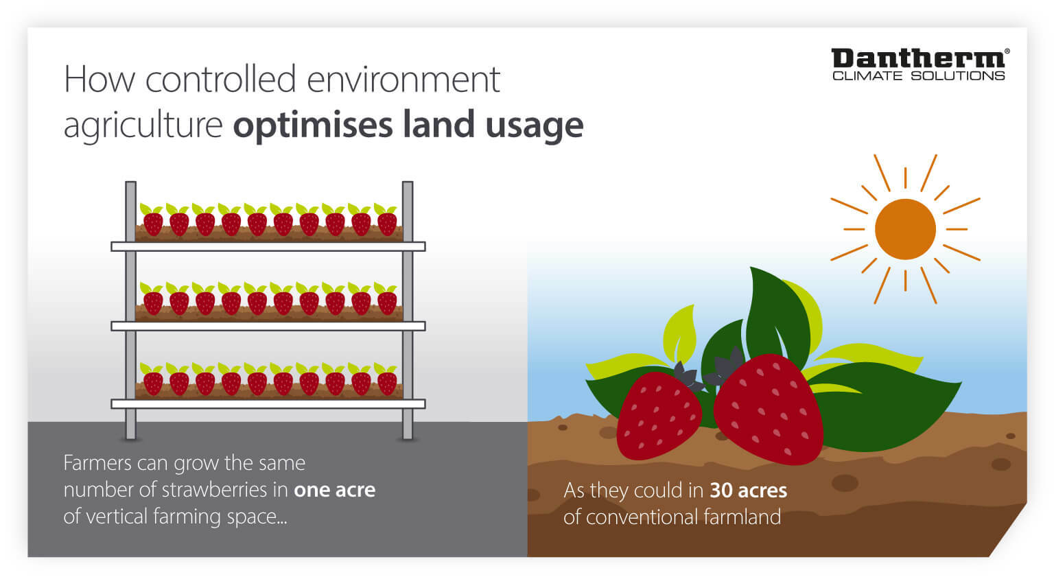 How controlled environment agriculture and vertical farms help optimise land usage - infographic image