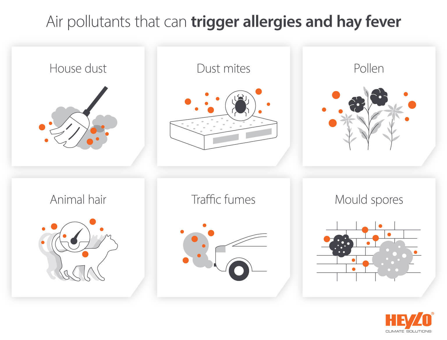 Air pollutants that can trigger allergies and hayfever like dust, mites, mould spores, animal hair and fumes - Infographic image