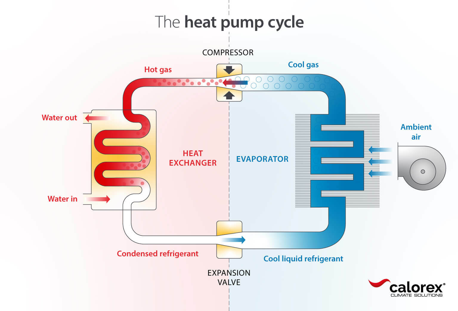 How a swimming pool heat pump works: The heat pump cycle - Calorex infographic