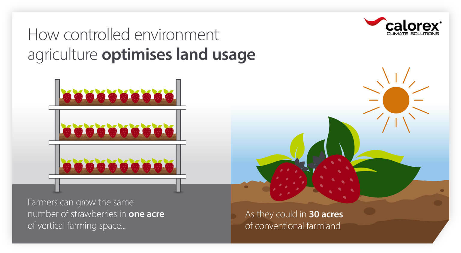 How controlled environment agriculture optimises land use for production and sustainability