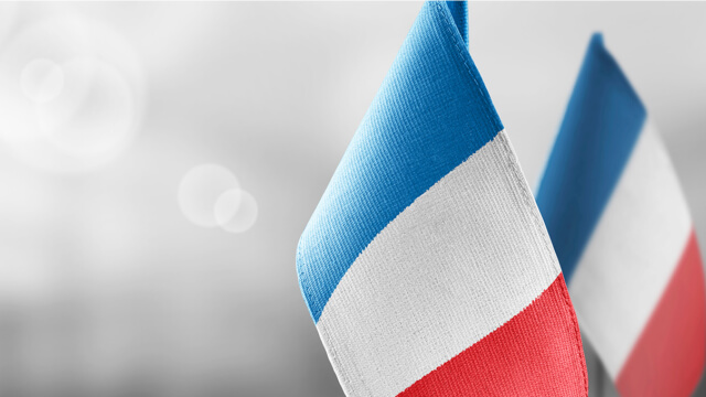 Dantherm franske flagg, nett