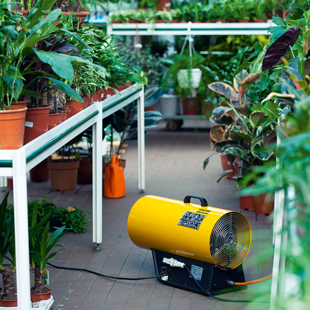 Master BLP 33ET in a greenhouse